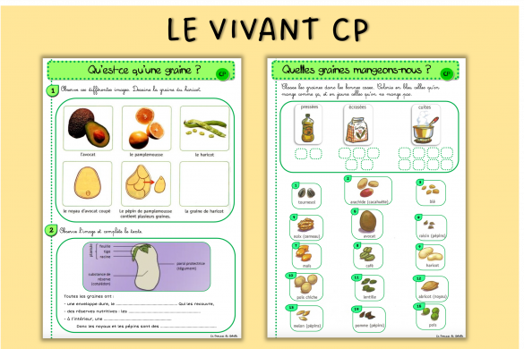 Espace CE1 - La trousse de Sobelle