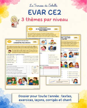 EVAR CE2
